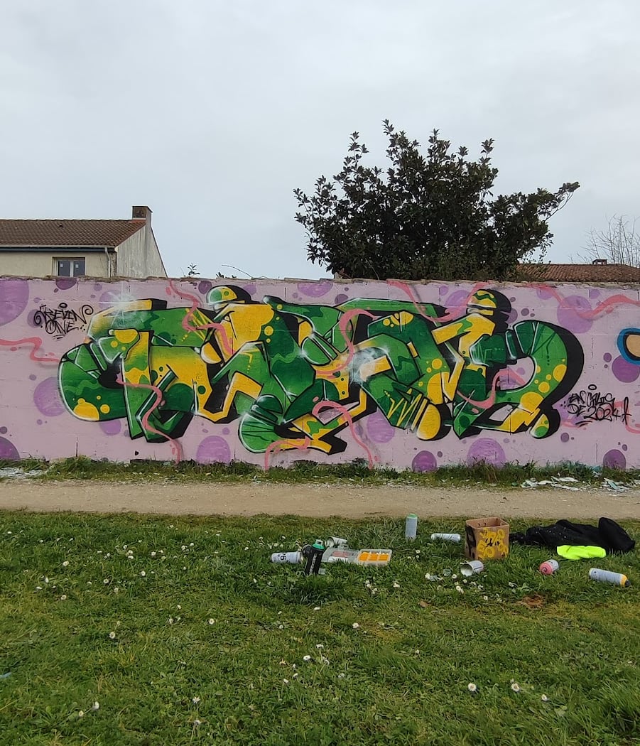 Murs de graffiti ( street art urbain) 2