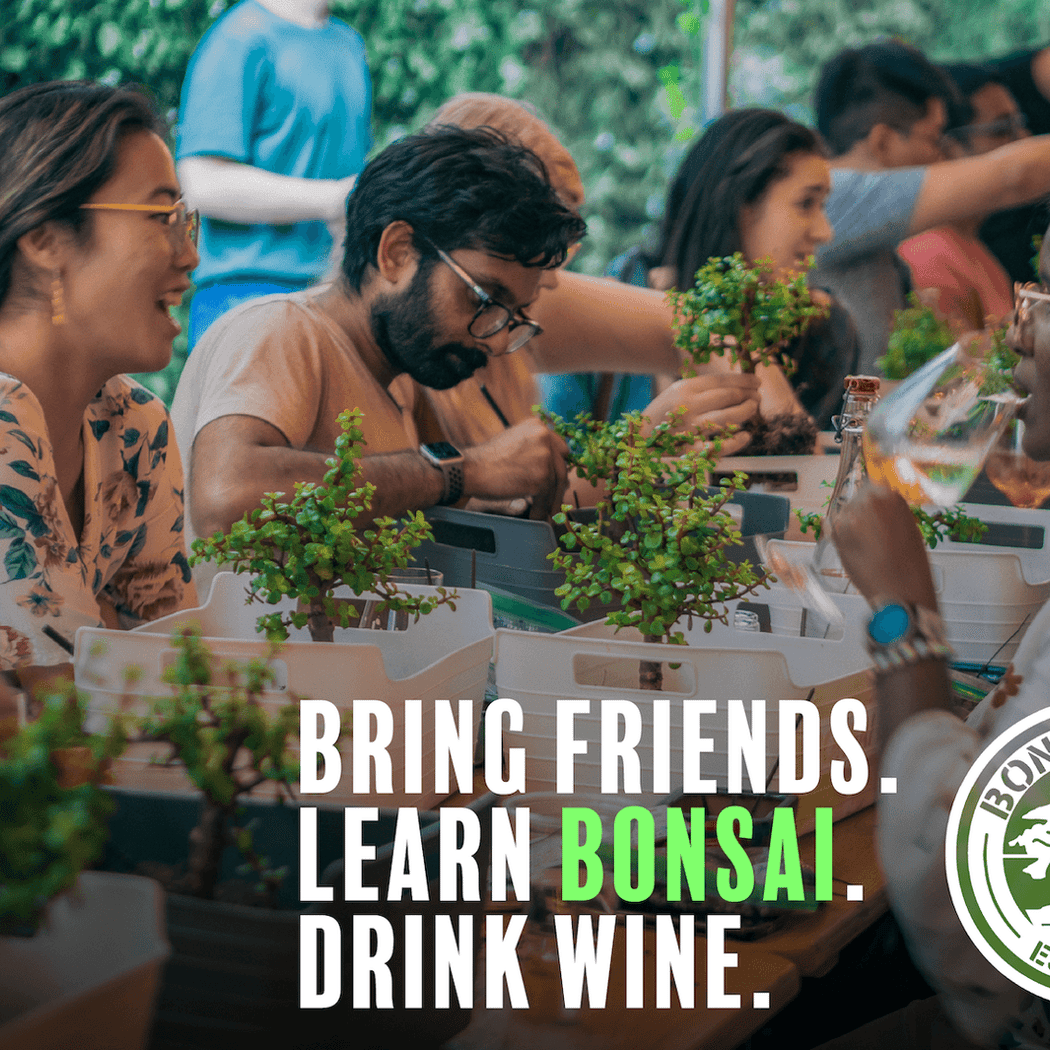 Bonsai Workshop 1
