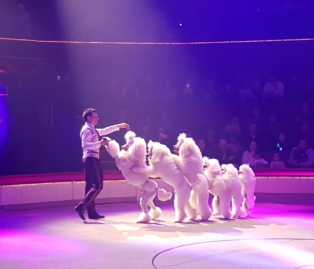 MOZART EN PISTE 3