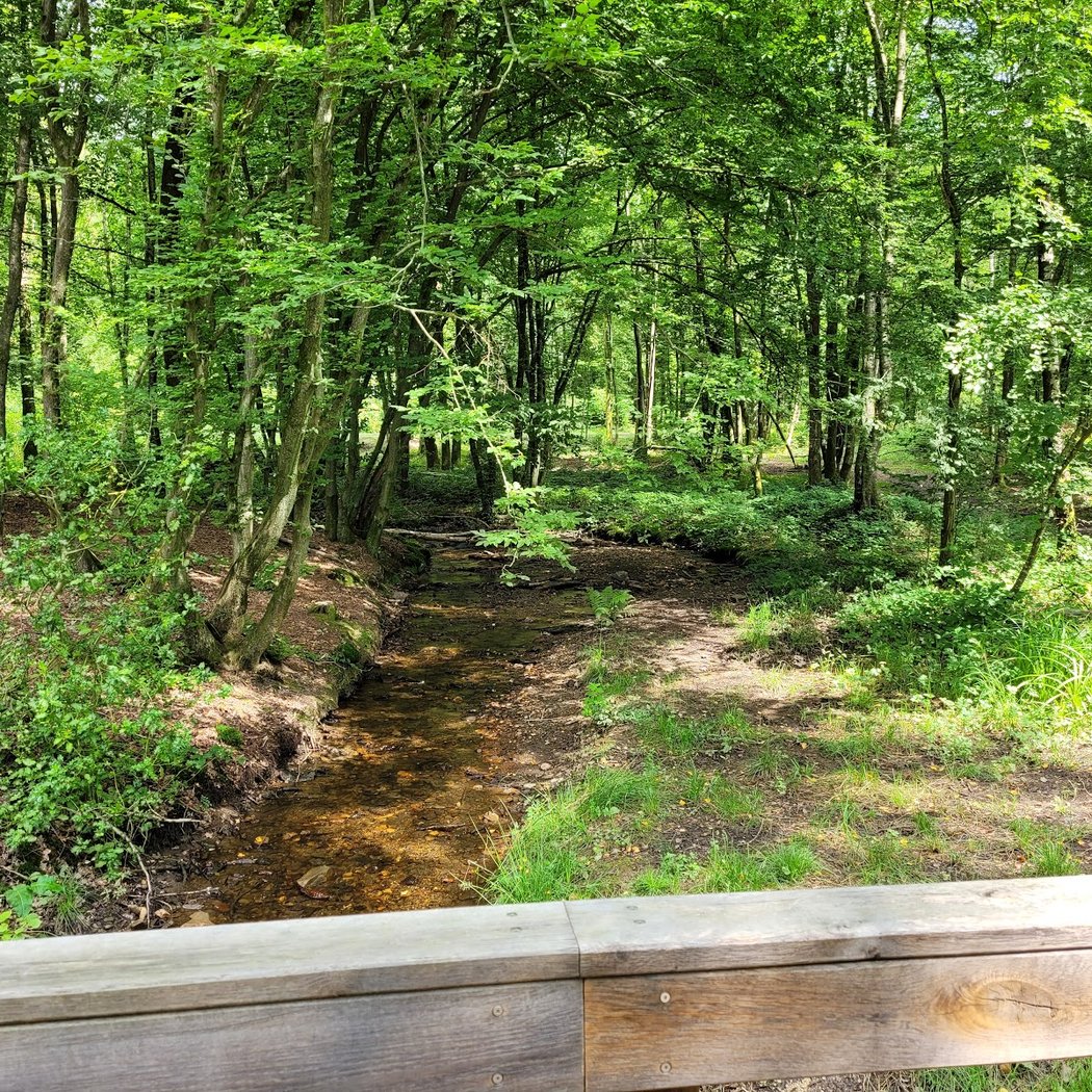 Lac des Vieilles Forges 4