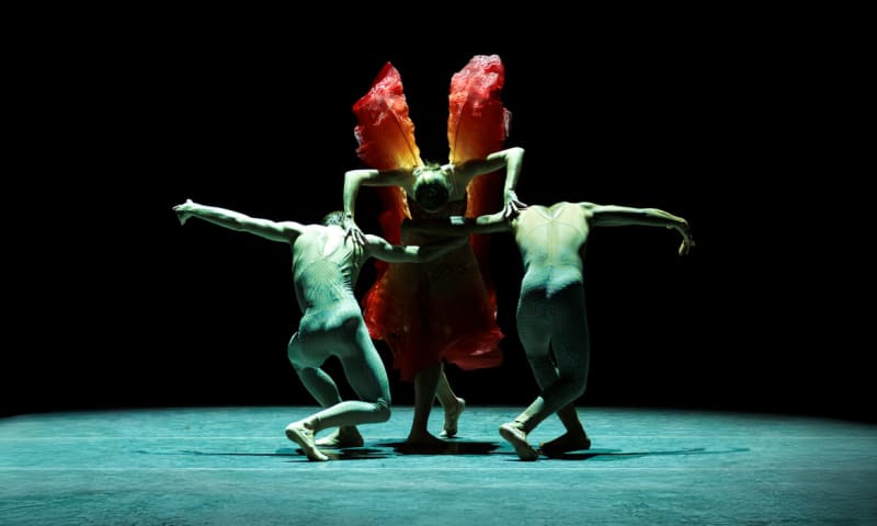 Contemporary Choreography II 1