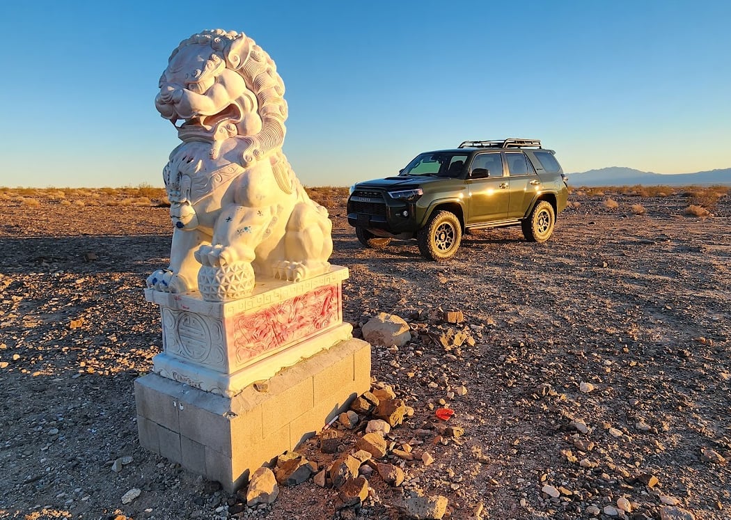 Lion Of Amboy 2
