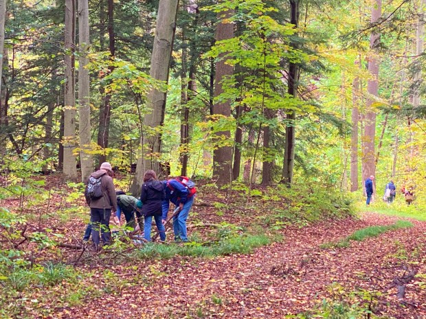 Fall Foray with the Ohio Mushroom Society