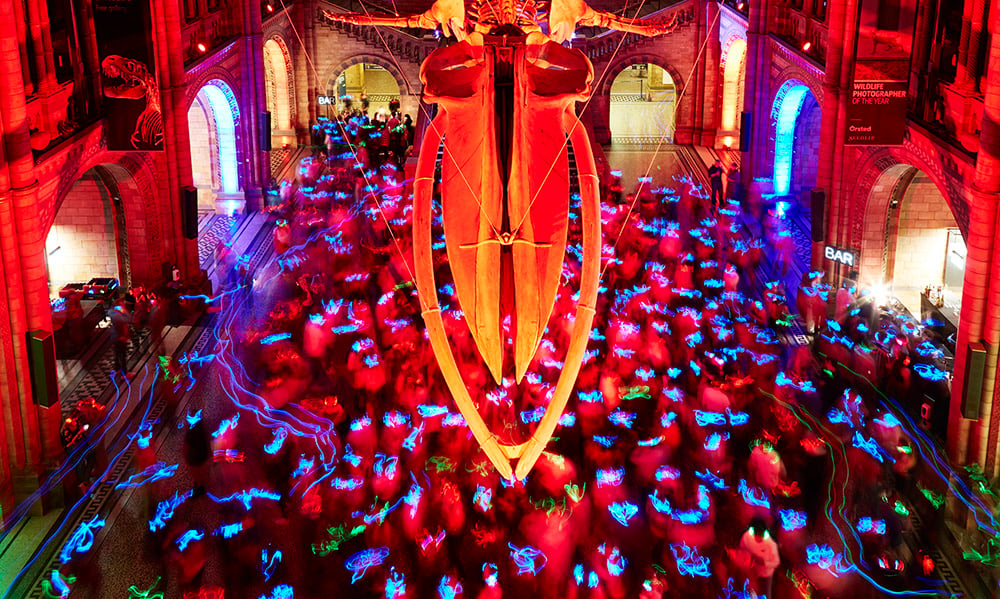 Silent Disco 1