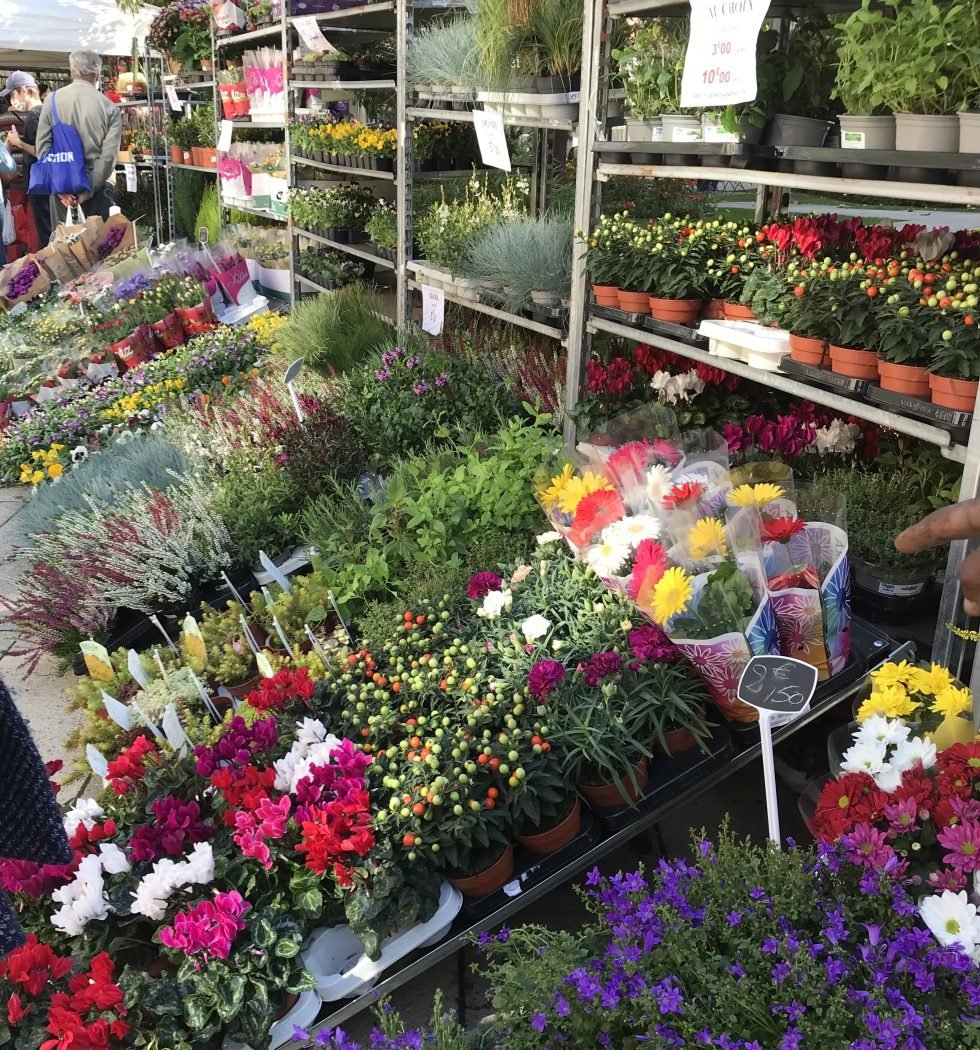 Marché aux Plantes d’Asnières – édition de Printemps 3