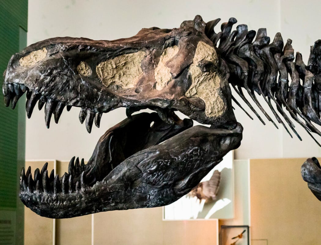 Discovery Days: Hooray for Science! 1
