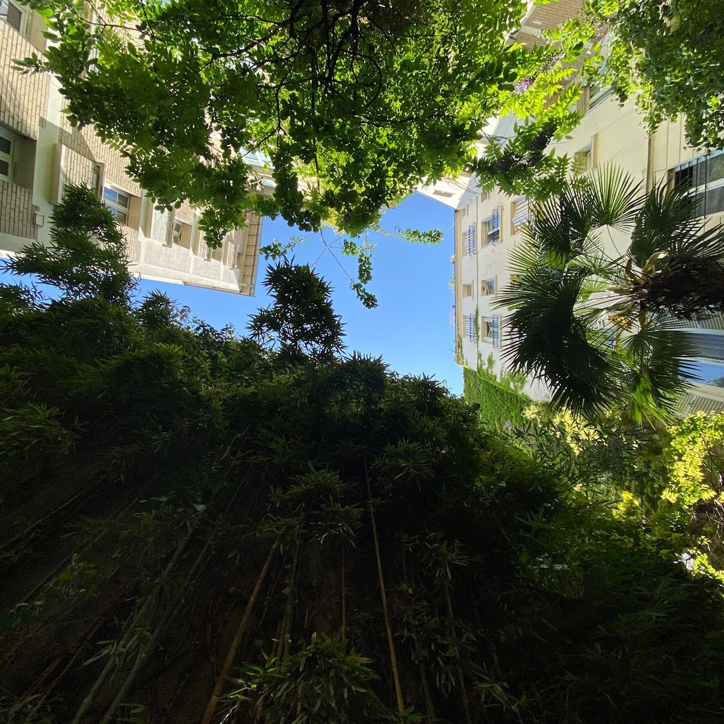 oasis verte du 12 1