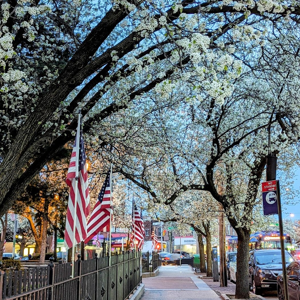 William F. Moore Park 3