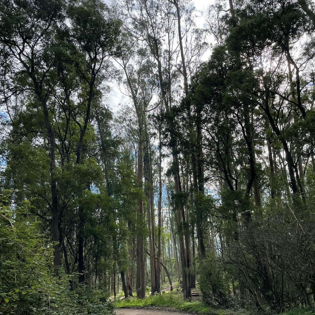 LushNature 2026 Spring Wildlife! Nature Walk and Bird Count 4