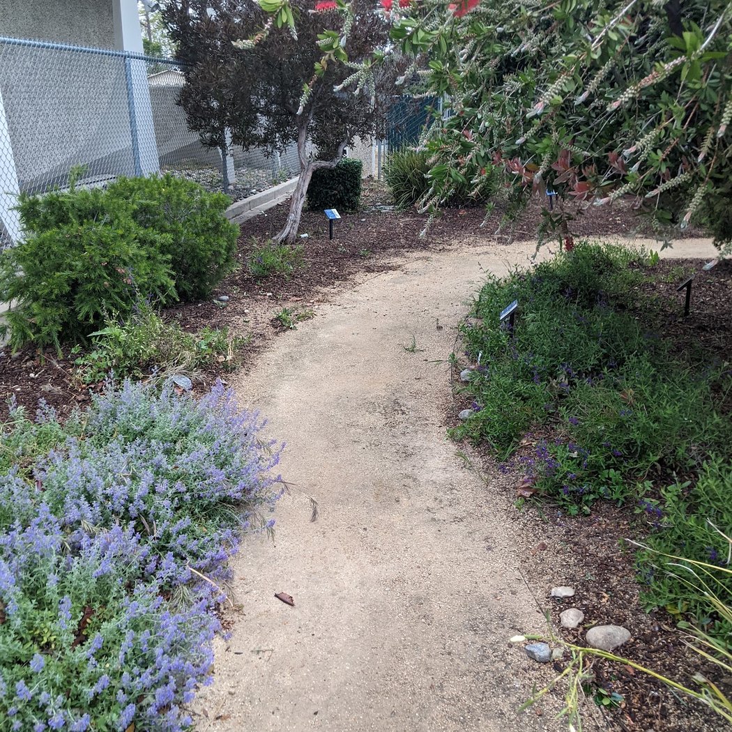 San Jose water demonstration garden 1
