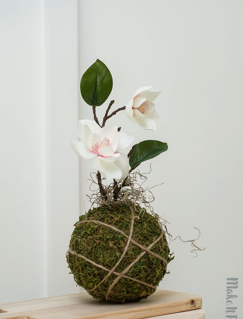 Kokedama Workshop 3