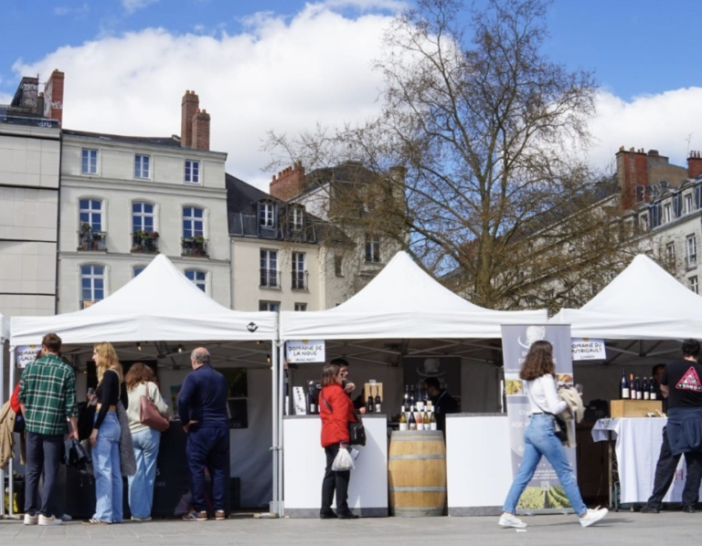 Dégustations de vin 1