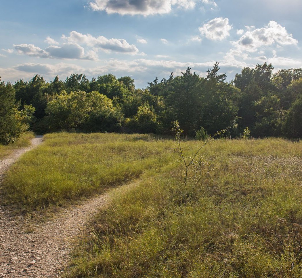 Oak Cliff Nature Preserve Monthly Workday - July 1