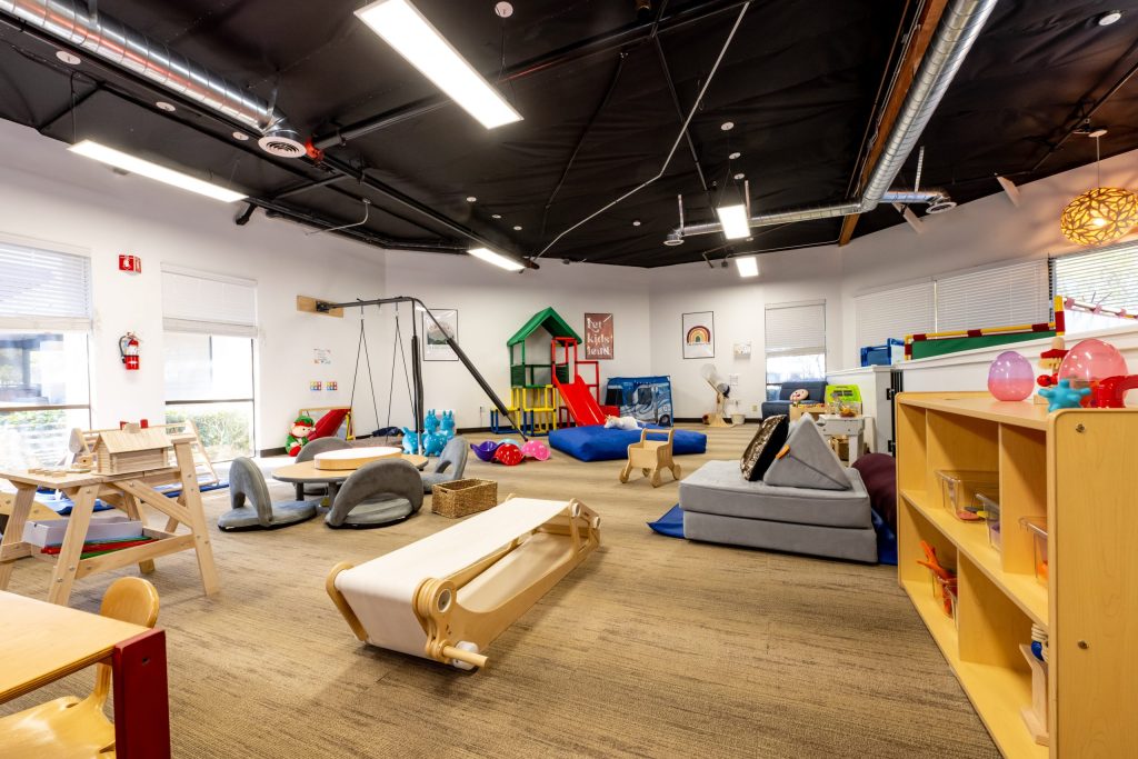 Spirited Play Labs 1