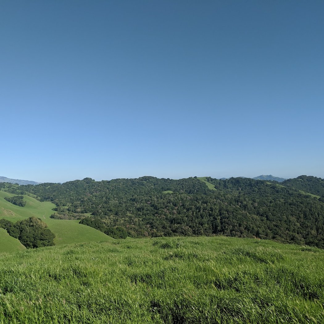 Orinda Connector Staging Area 1