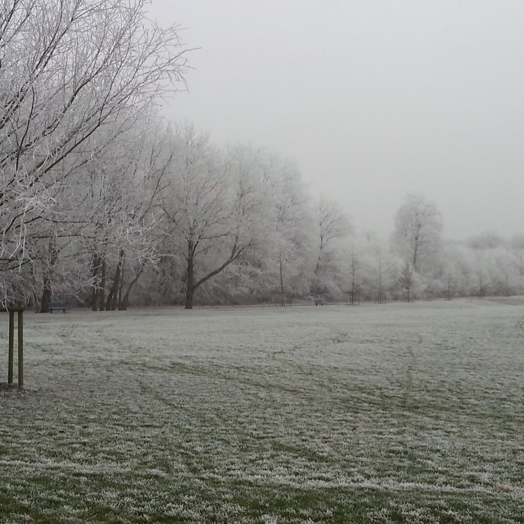 26ème édition Foulée Verte de Clamart 2