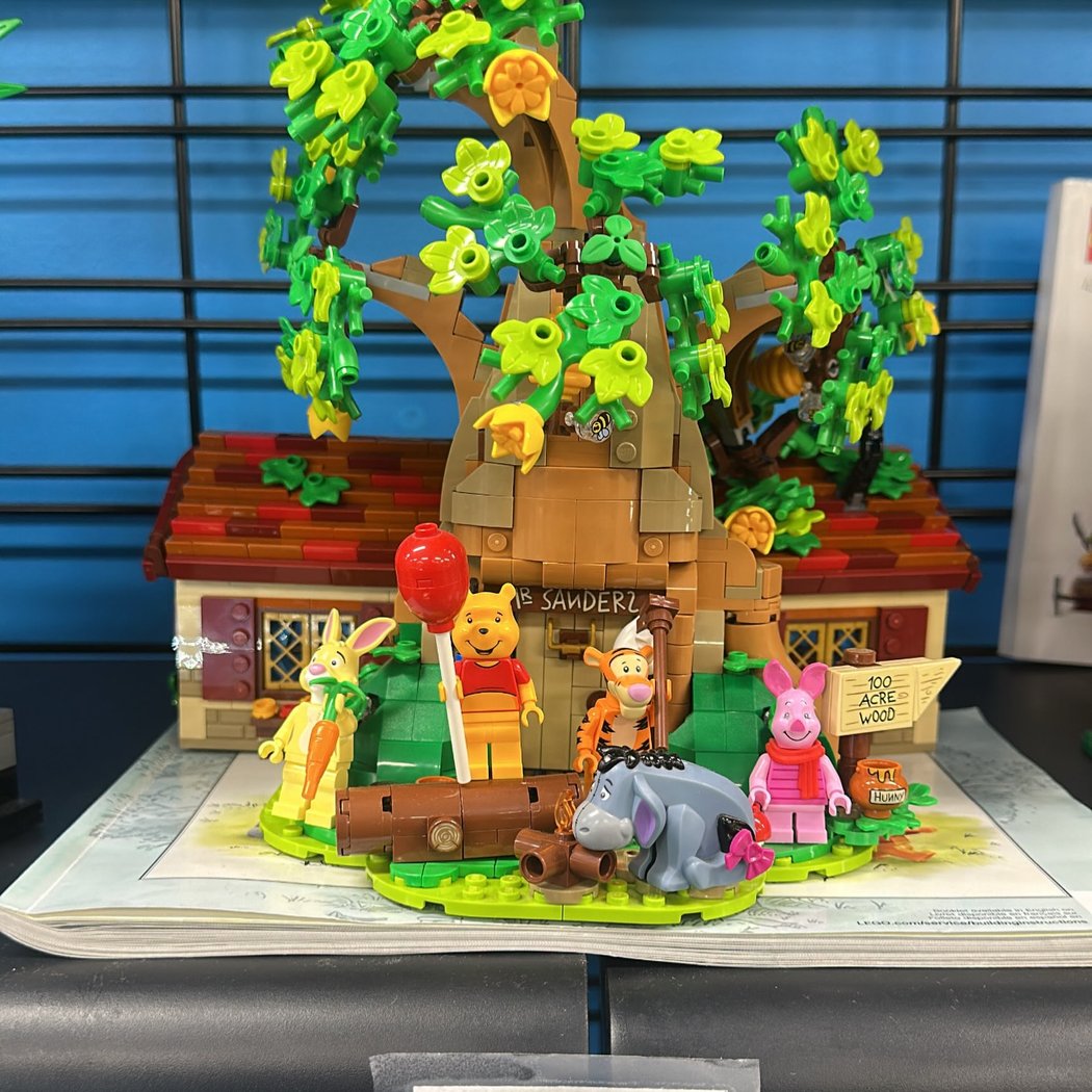 Bricks & Minifigs San Ramon 2