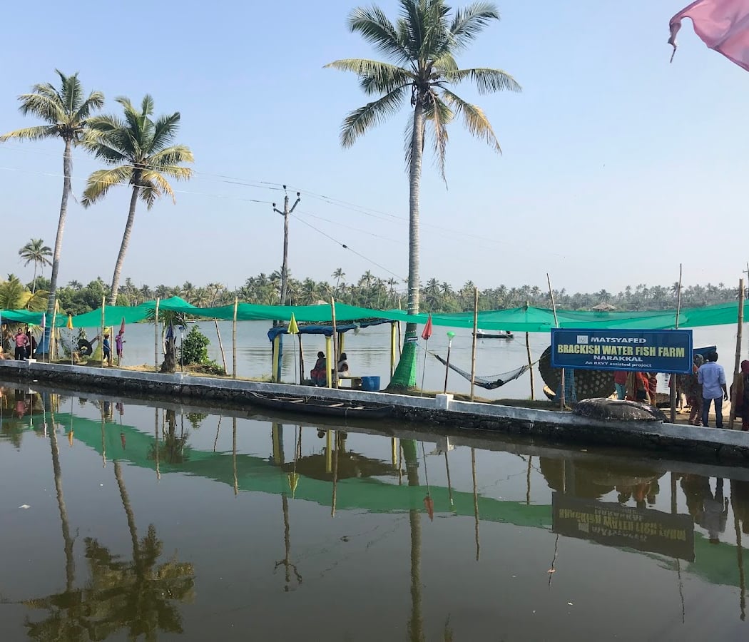 Matsyafed Njarackal Fish Farm 2