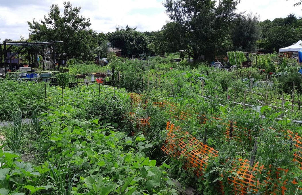 Jardins Ouvriers Des Vertus 2