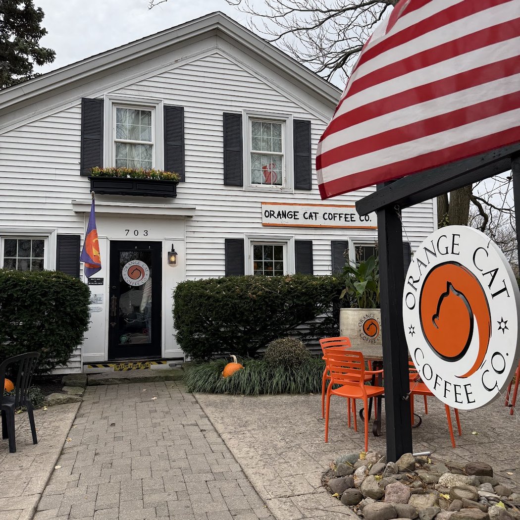 Orange Cat Coffee Co 3