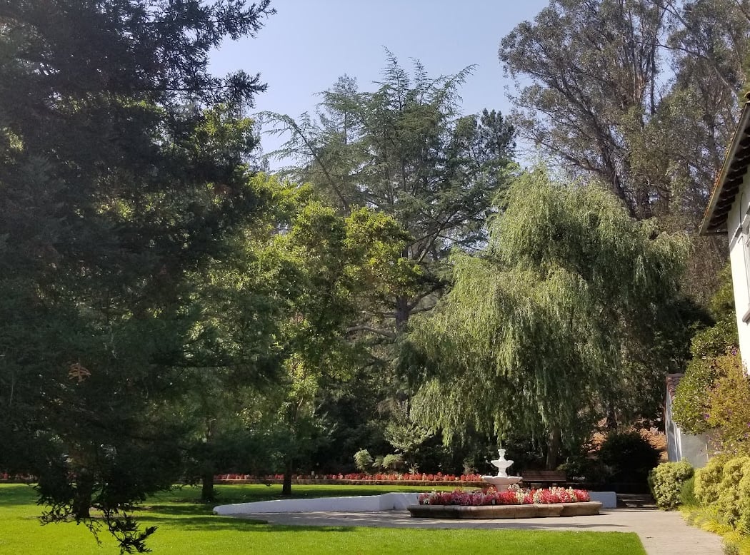 Moraga Parks & Recreation 3