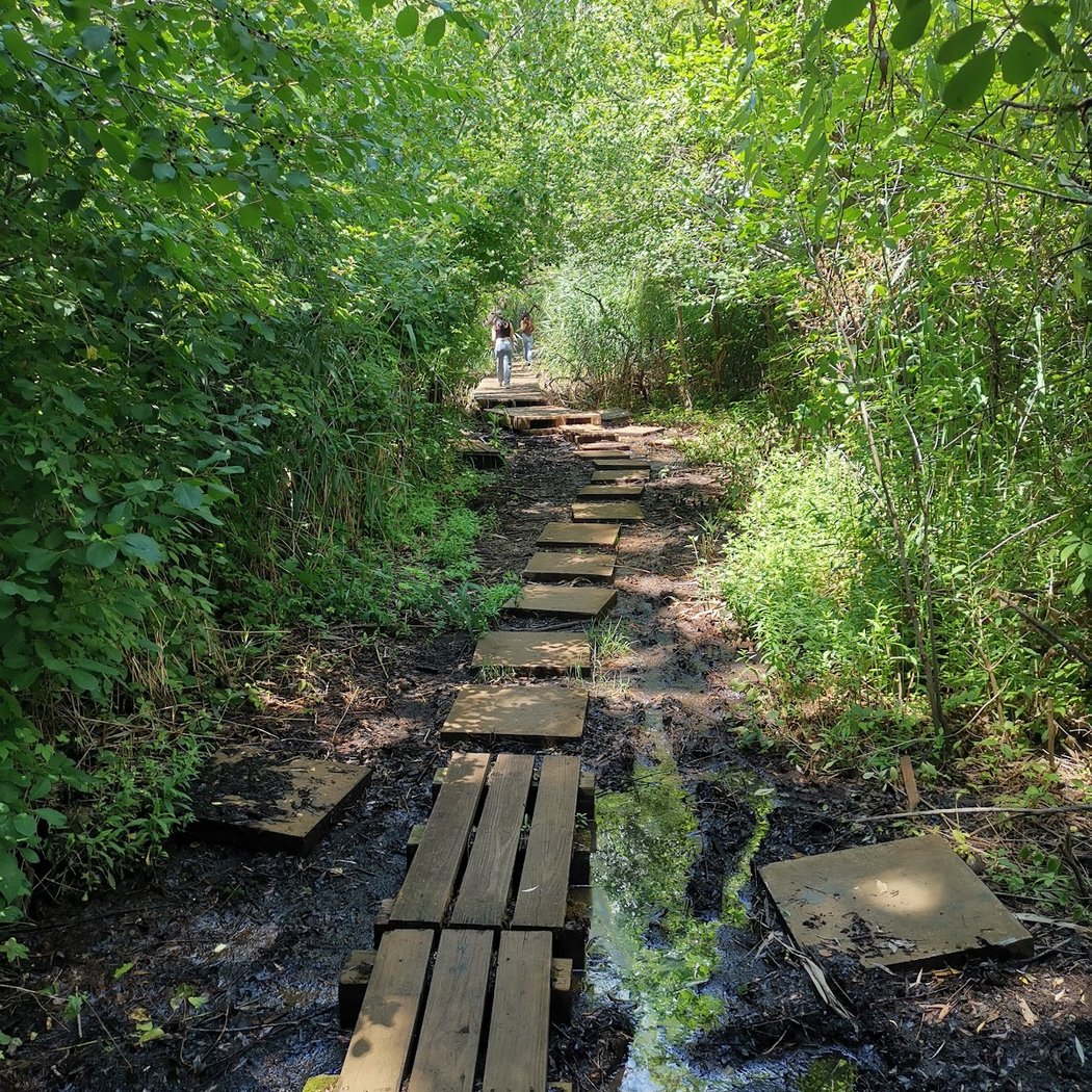 Pat Dolan Trail 3