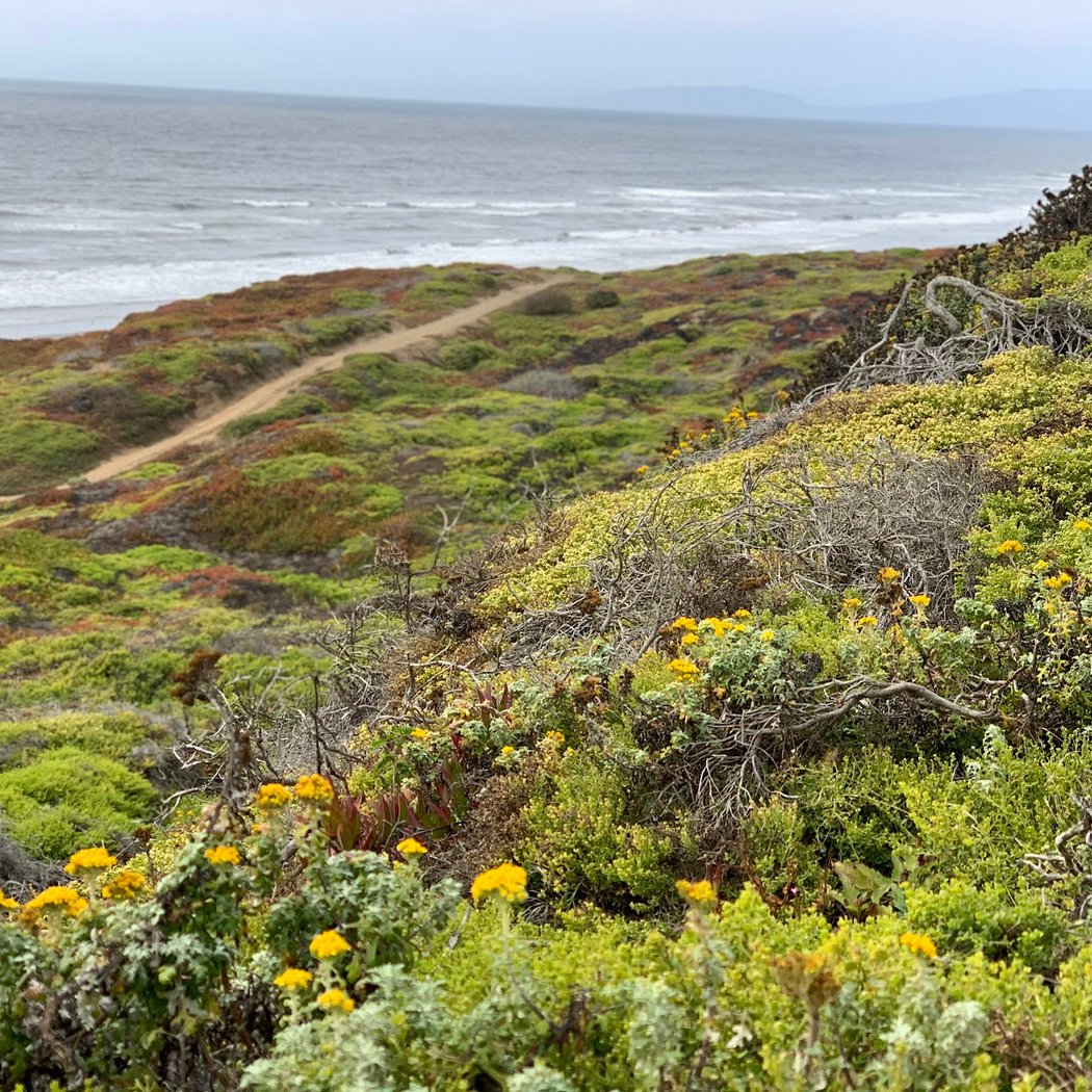 Phillip Burton Memorial Beach 3