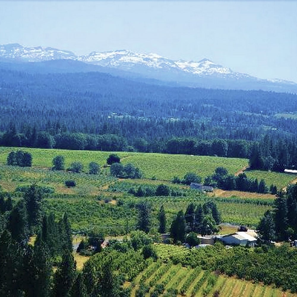 Wines of Lake County & The Sierra 2