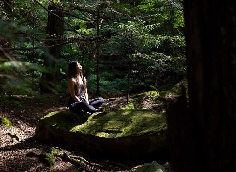 Guided Forest Bathing 1