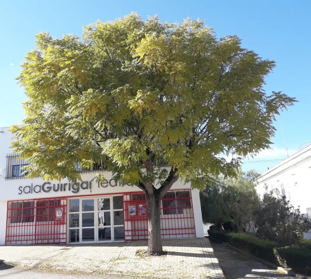 El Romancero Gitano y otros deseos 3