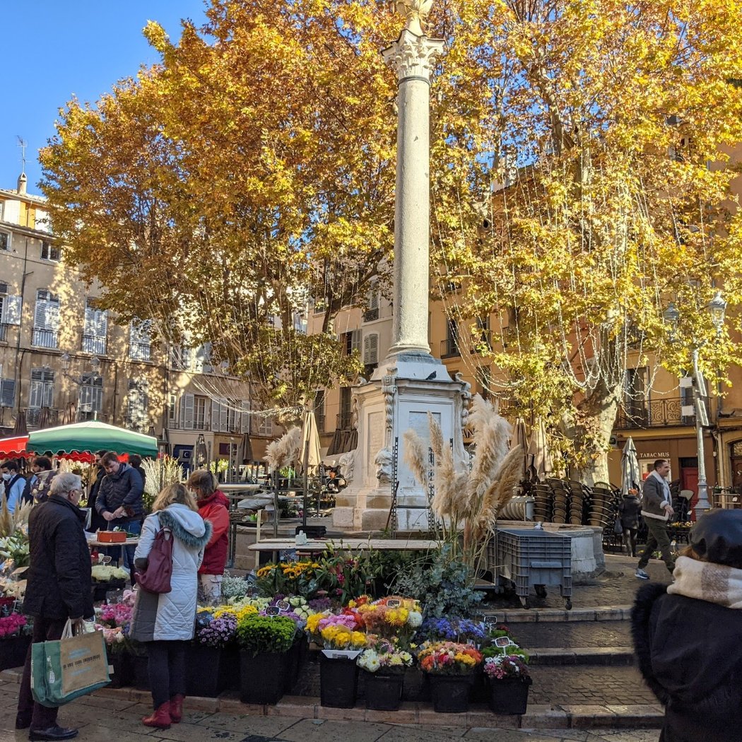 Le marché aux fleurs d'Aix-en-Provence 3