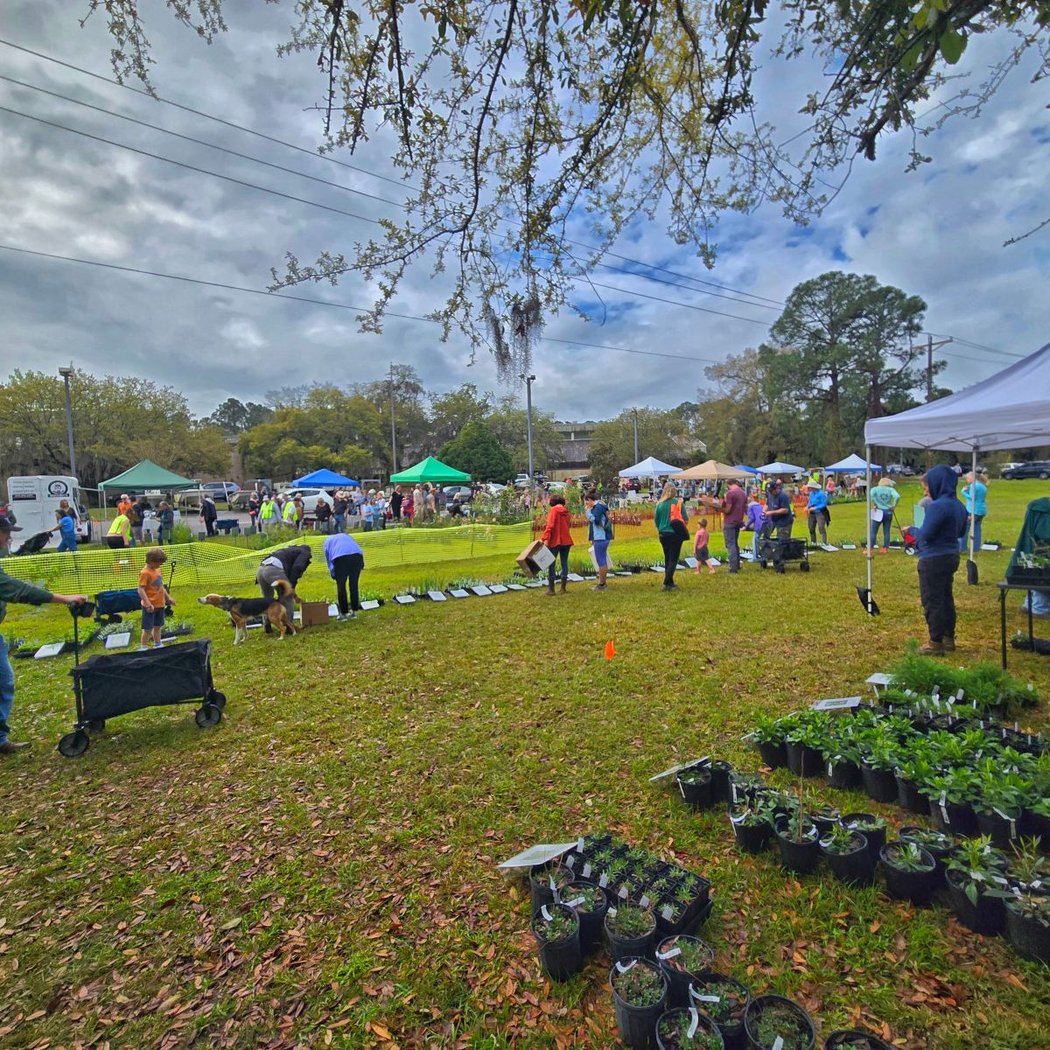 Lowcountry Fall Native Plant Market 3
