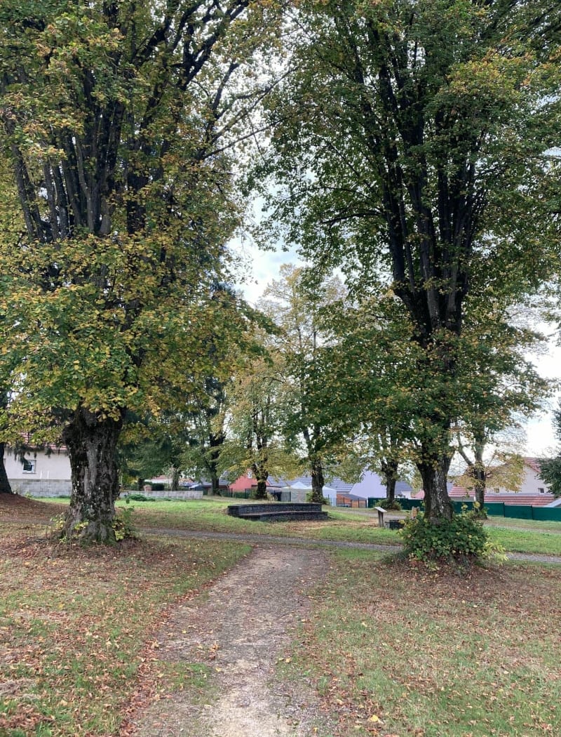Bois de l'Essart et des Coteaux 2
