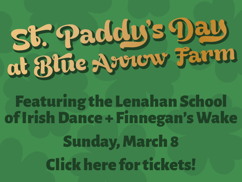 St. Paddy's Day at Blue Arrow Farm 1