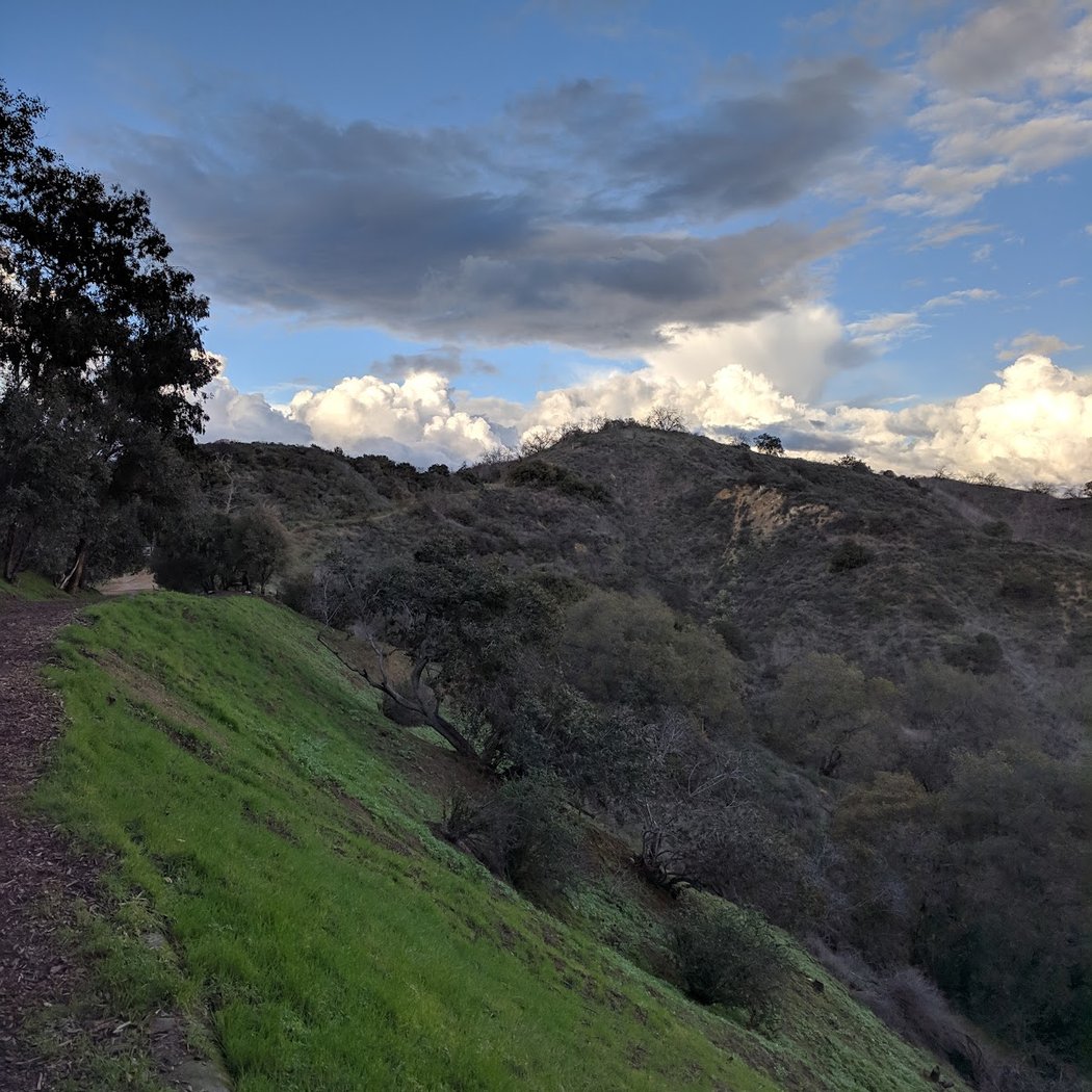 Friday Night Moonlight Hike with Steve Blum 1