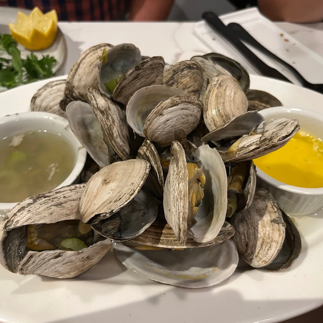 Steamers 2
