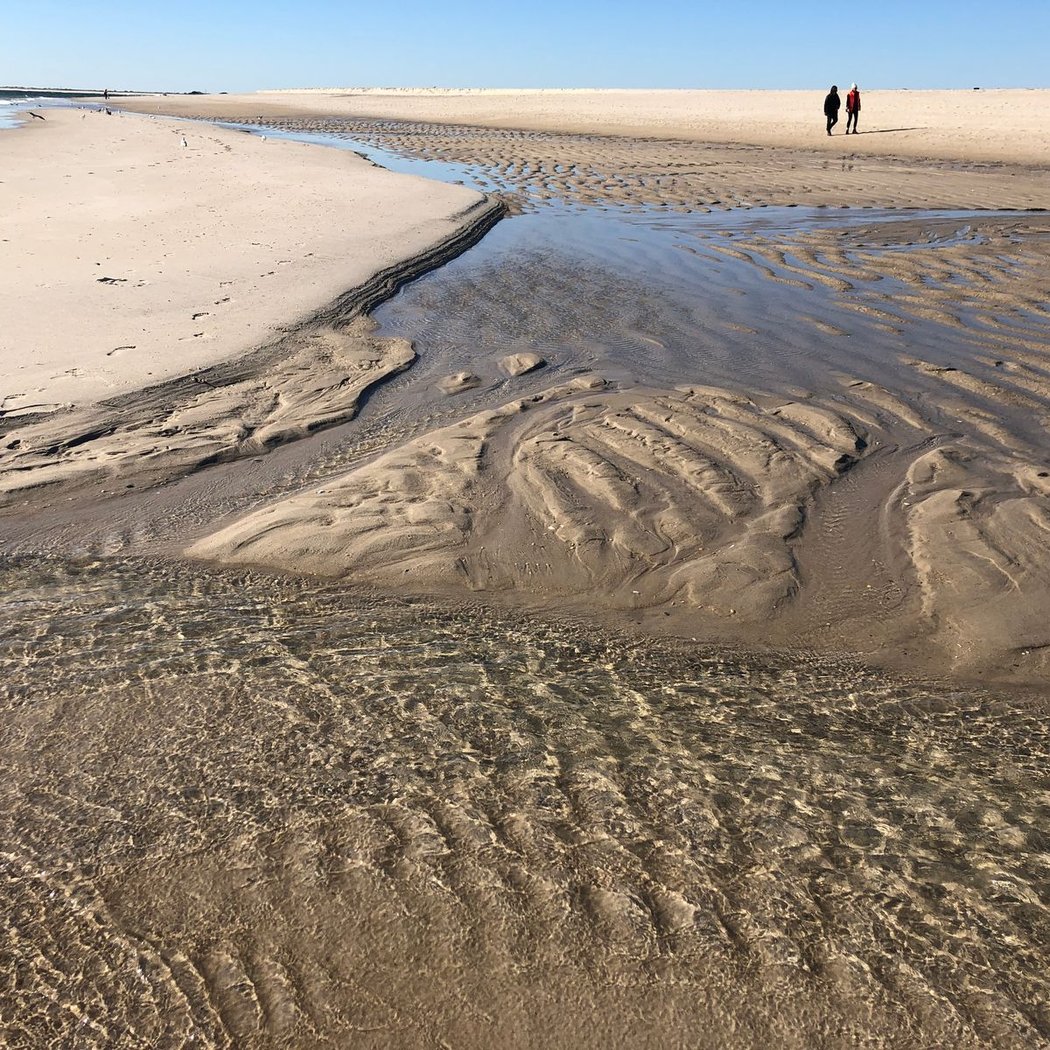 Robert Moses State Park Field 2 2