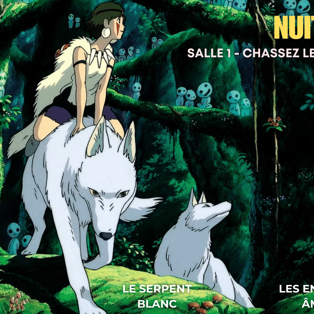 Nuit Anim' 1