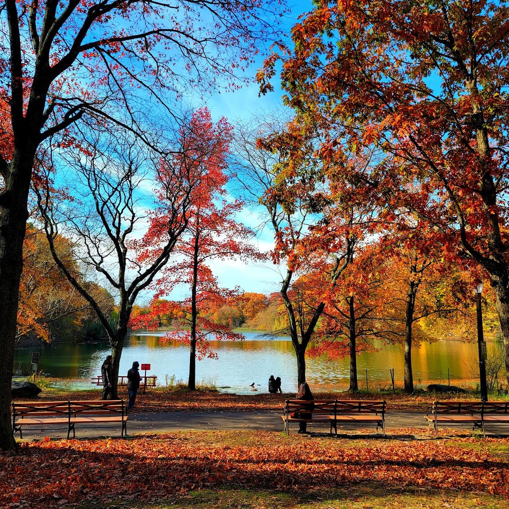 Oakland Lake 1