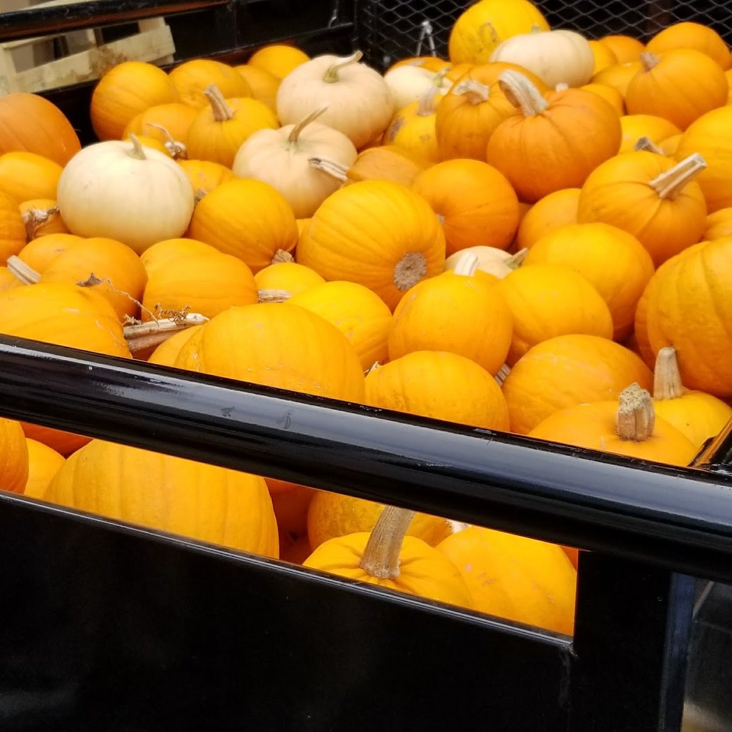 Pacific Coast Farmers' Market Association 2
