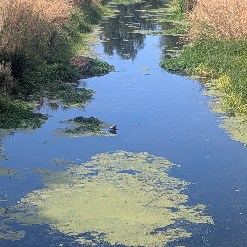 Creekside Park 3