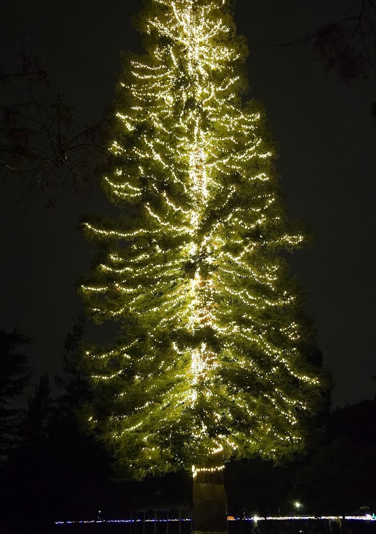Meyer Park 2