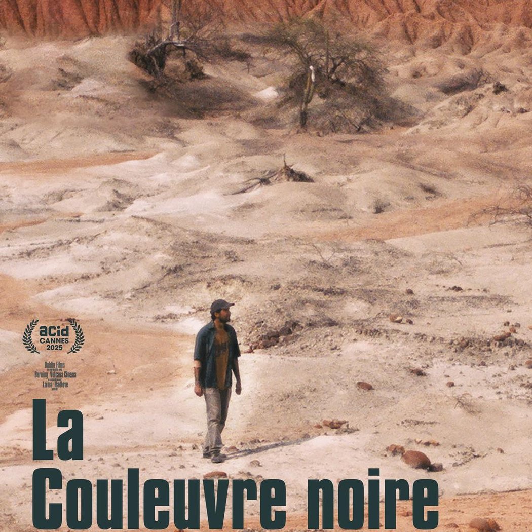 La Couleuvre Noire 1