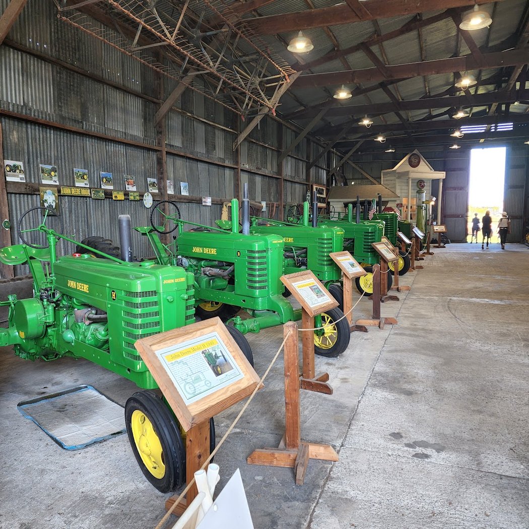 Fun on the Farm 4