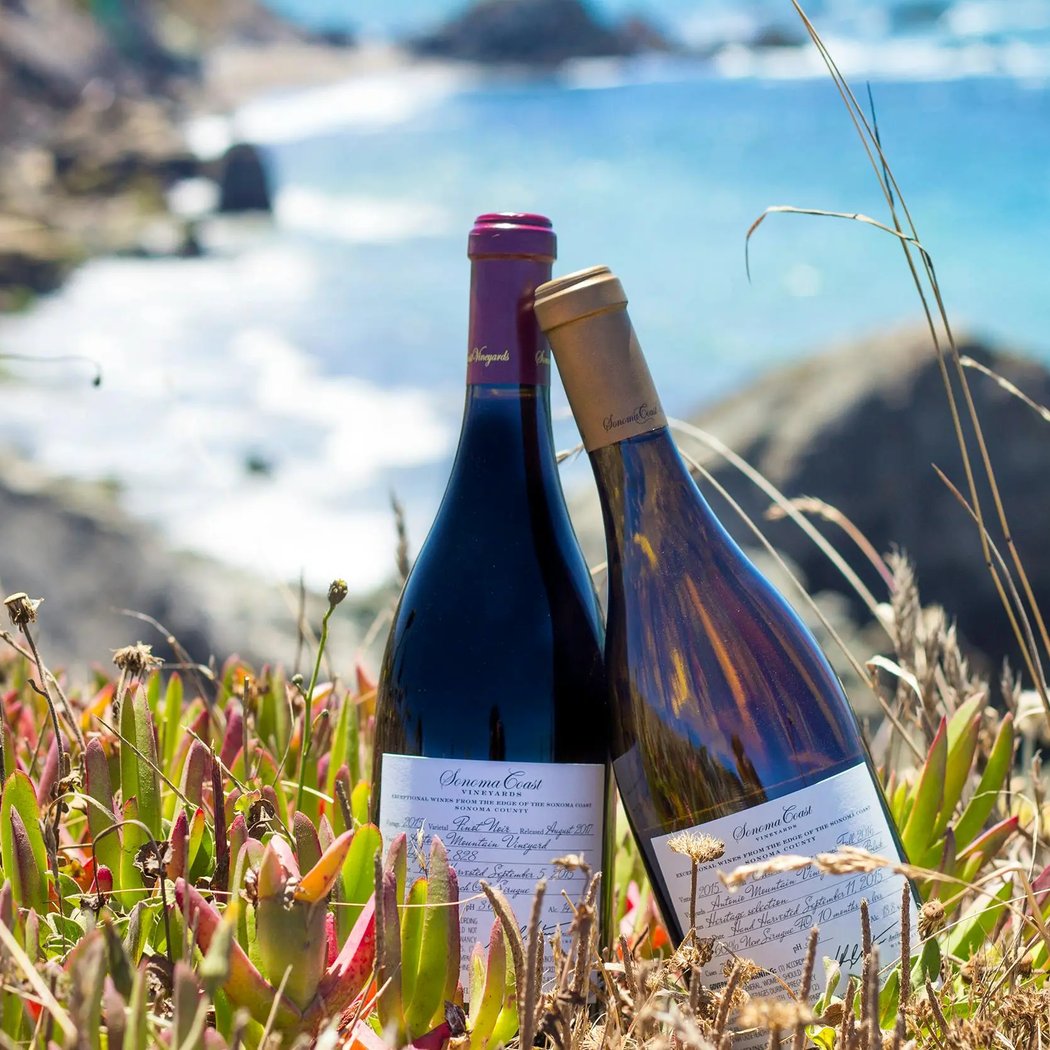Sonoma Coast Vineyards 3