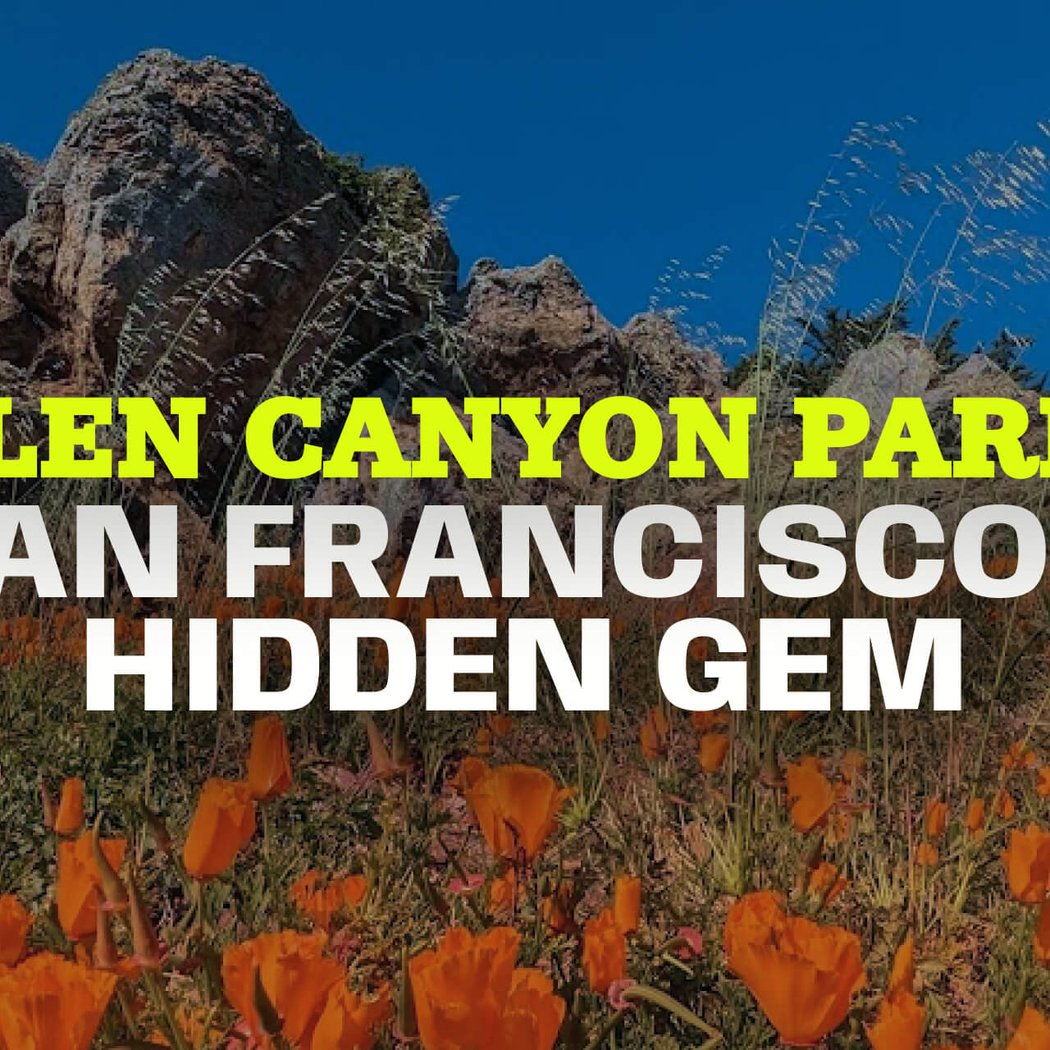 Glen Canyon Park 1