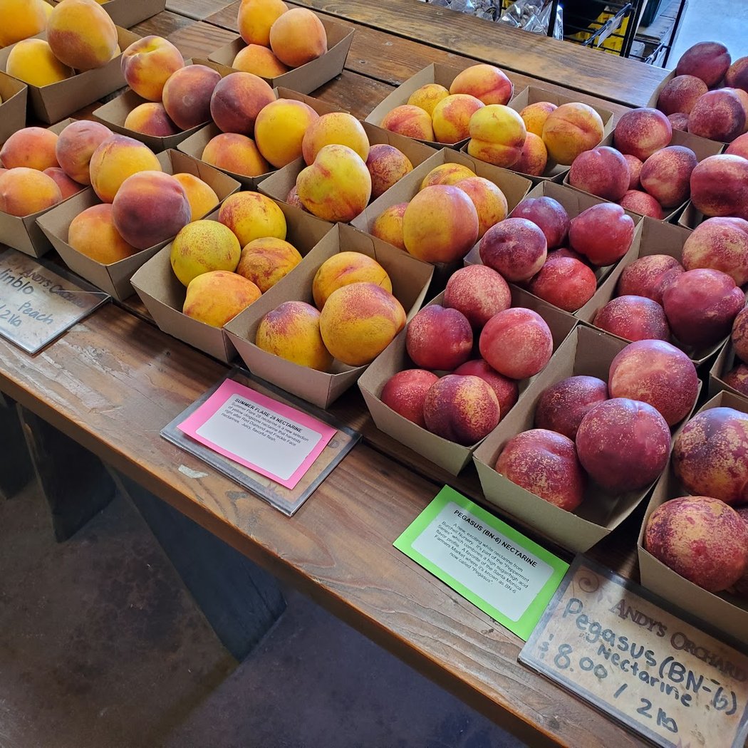 Summer Tasting and Orchard Tour 3