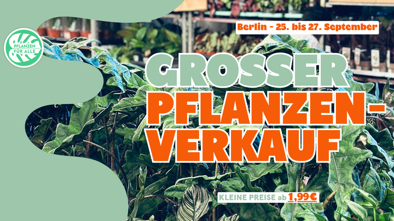 GROSSER PFLANZENVERKAUF