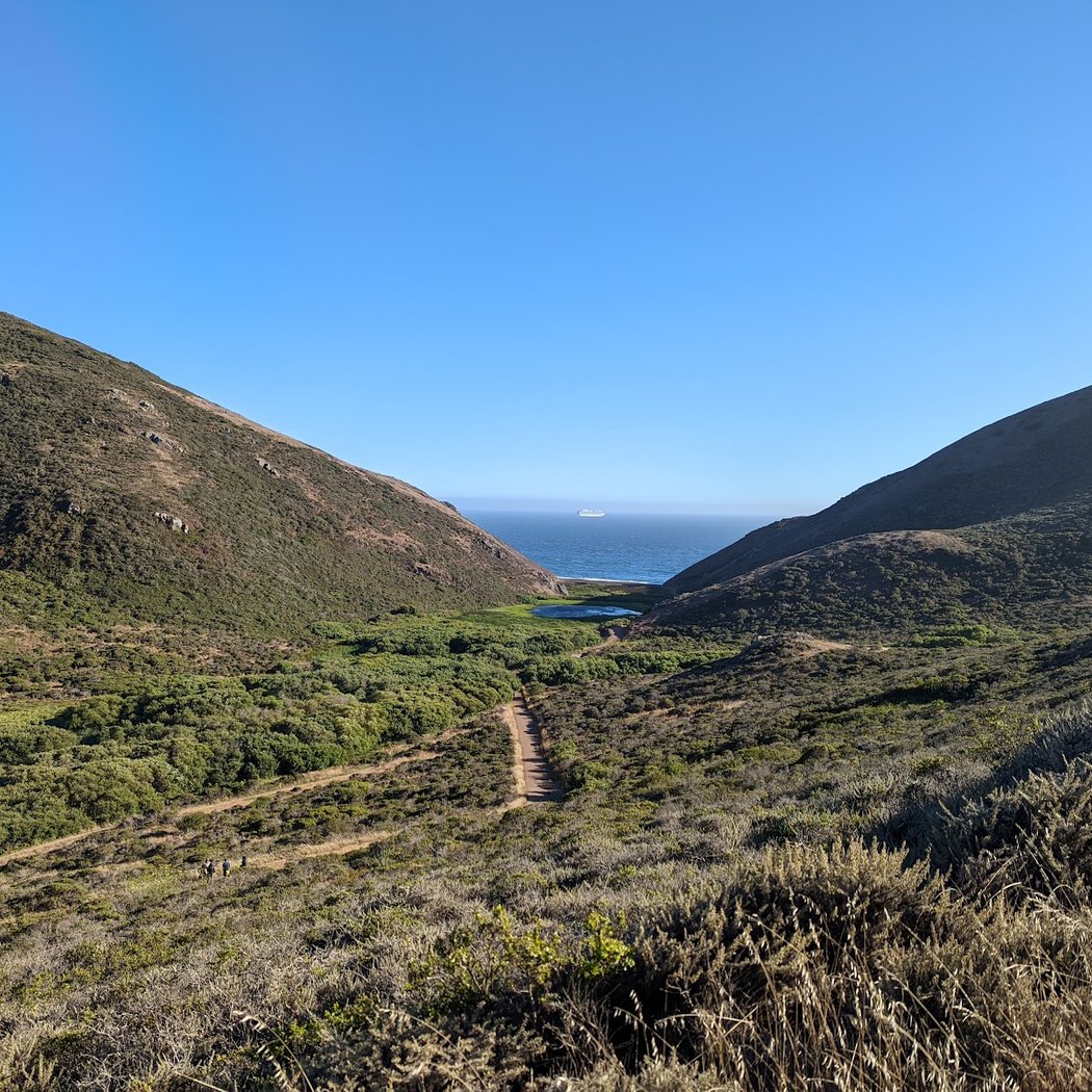 Sunset & Full Moon Hike: Mountain Lions 3