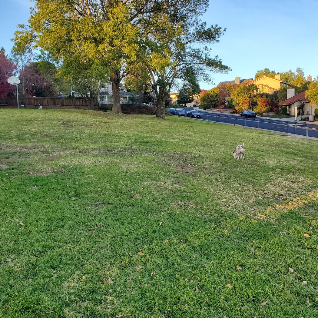 Deerview Park 3